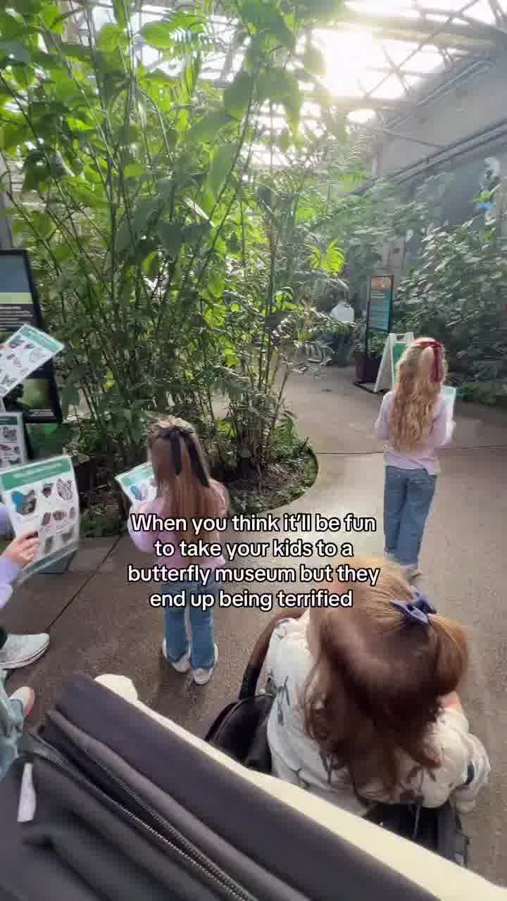 לקחה את הבנות למוזיאון פרפרים - והן חזרו עם טראומה לכל החיים