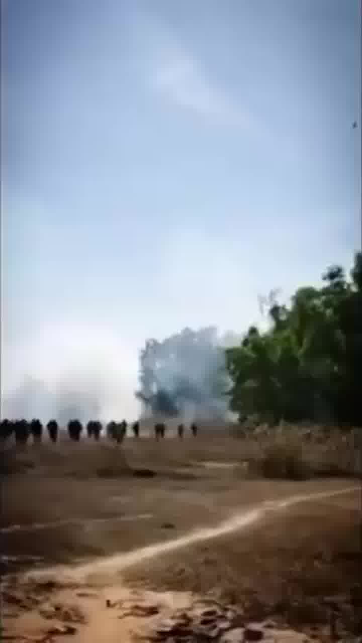 הודו: פיל שיצא משליטה הרג 22 אנשים בעשרה ימים