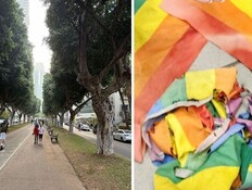 הדגל שנשרף, שדרות רוטשילד