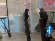 השוד בבת ים