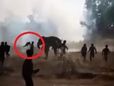 הודו: פיל שיצא משליטה הרג 22 אנשים בעשרה ימים