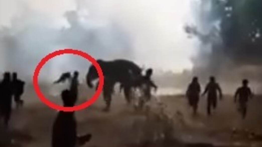 הודו: פיל שיצא משליטה הרג 22 אנשים בעשרה ימים