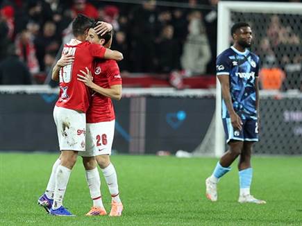 חגיגה מאוחרת (אלן שיבר)