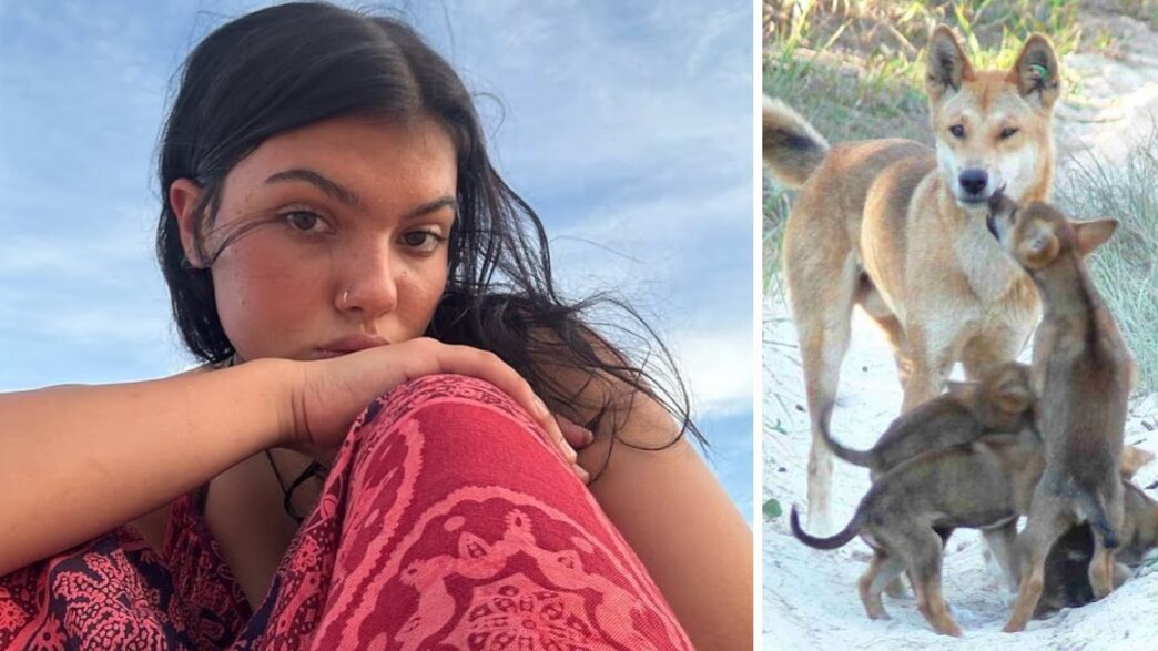 פייפר ג'יימס