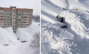 קמצ'טקה (צילום: צילום מסך)