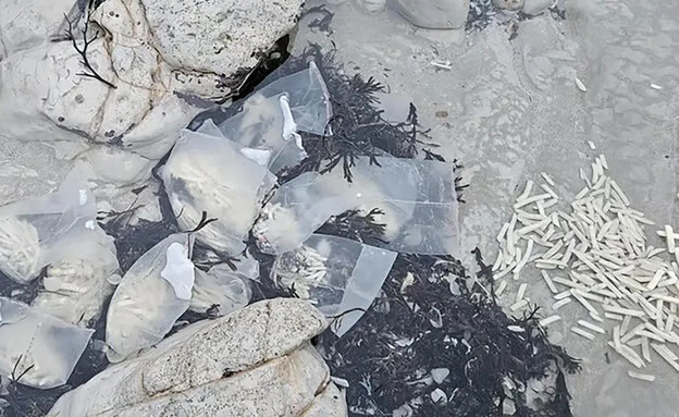 חוף הים בסקסס בריטניה כוסה בצ'יפס