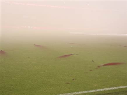 (אלן שיבר) (צילום: ספורט 5)