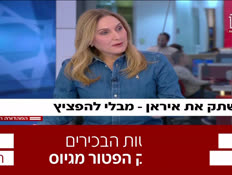 19gilsyber_vtr2_n20260121_v1 (צילום: חדשות)