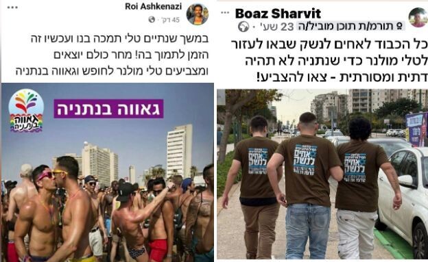 פייק טלי מולנר