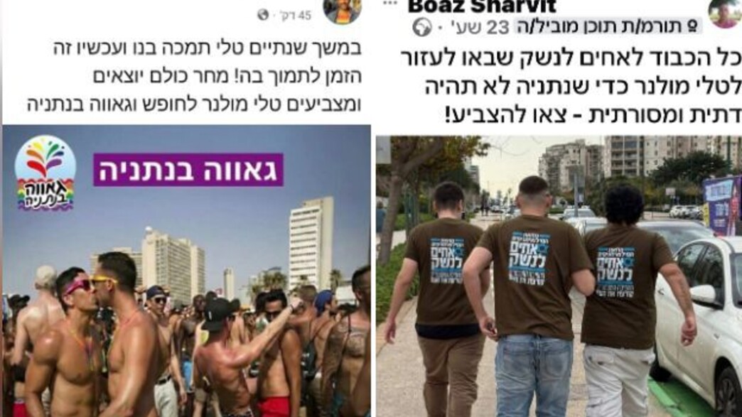 פייק טלי מולנר