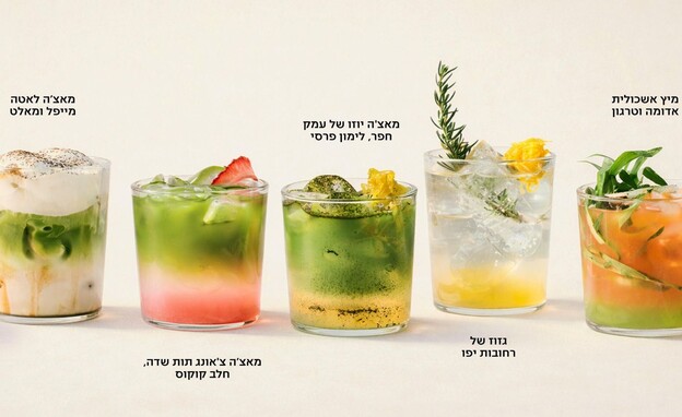 סדרת משקאות חדשה במתחת לעץ סדרת משקאות חדשה במתחת לעץ