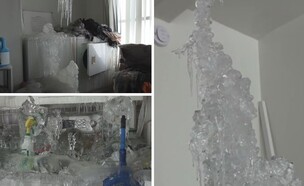 קוויבק (צילום: מתוך הרשתות החברתיות לפי סעיף 27א׳ לחוק זכויות יוצרים)