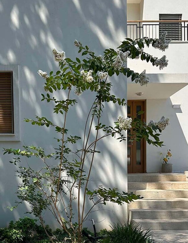 בית ברמת גן, ענבל אגא 