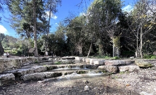 נחל השופט  (צילום: מירב טלמור-קשי)
