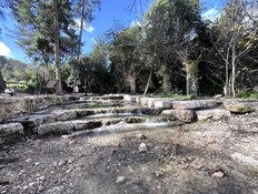 נחל השופט  (צילום: מירב טלמור-קשי)