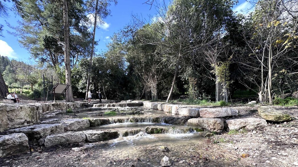 נחל השופט נחל השופט