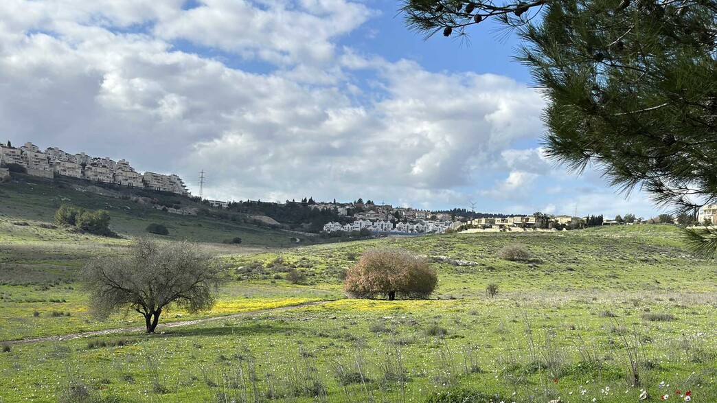 יקנעם נחל השופט 