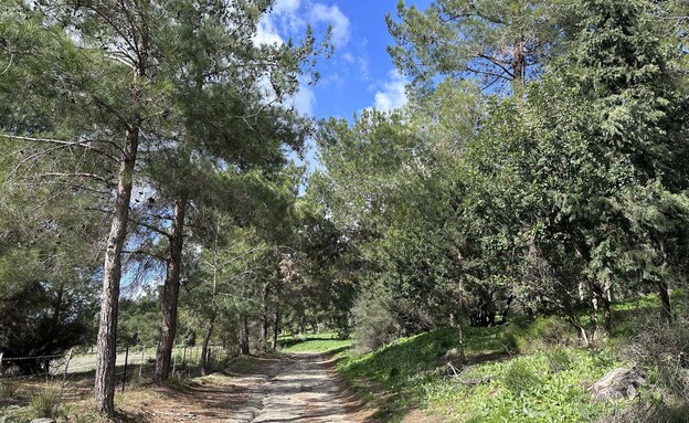 שביל עמק השלום נחל השופט שביל עמק השלום נחל השופט