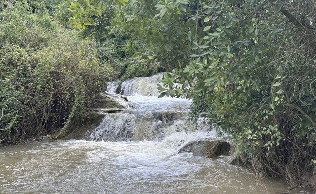 מים נחל השופט מים נחל השופט