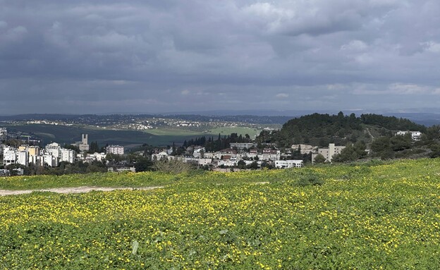 נוף עמק השלום נוף עמק השלום