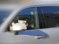 מתאים לה: רכבי הסלבס - במה נוהגת בר רפאלי?