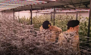 עצור ישראלי בתאילנד (צילום: צילום מסך)