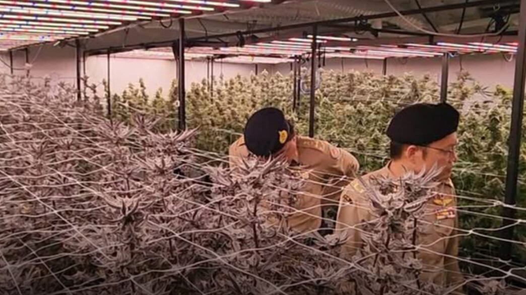 עצור ישראלי בתאילנד עצור ישראלי בתאילנד