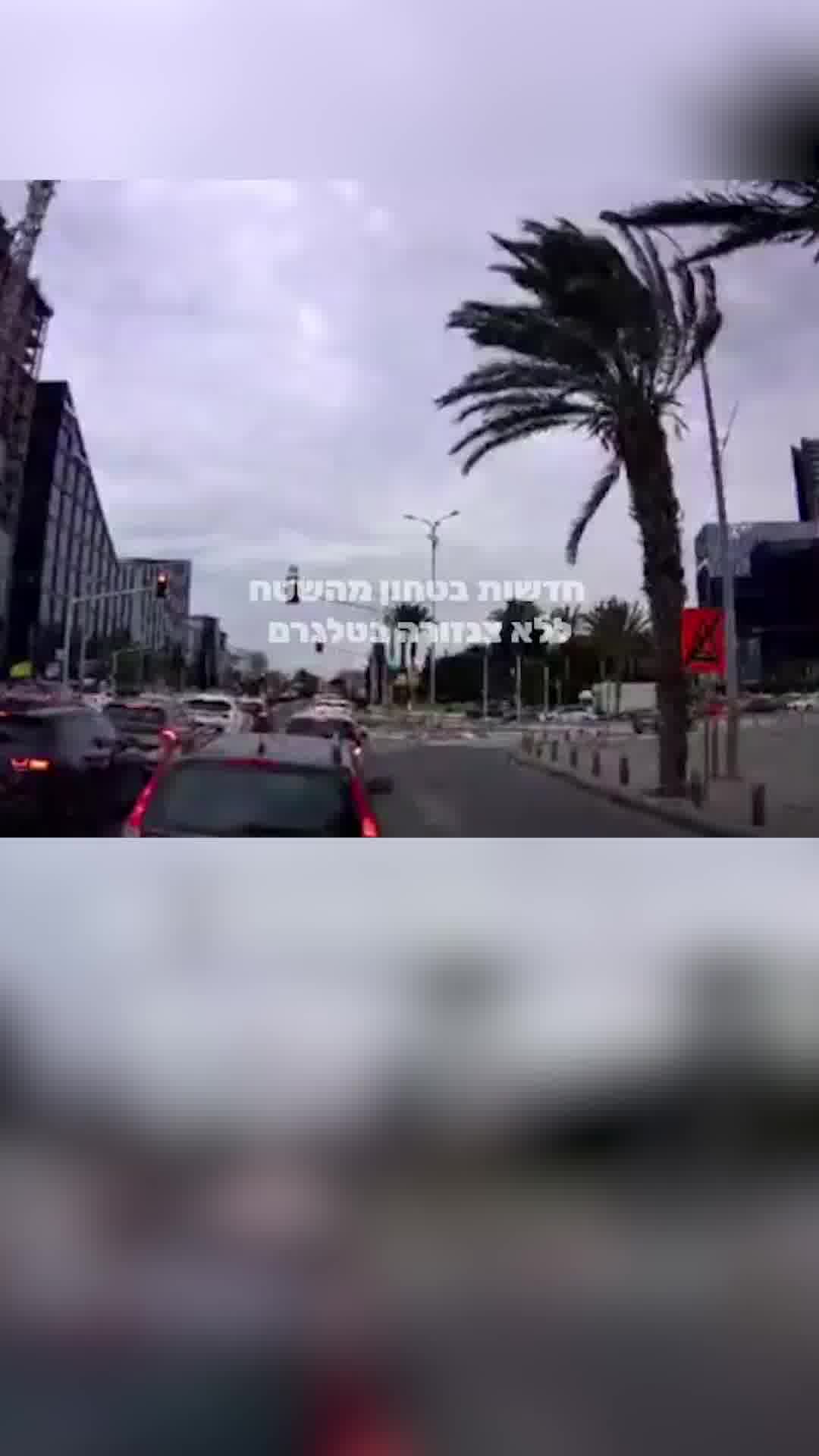 רגע מאסון בחיפה: עץ דקל קורס ועף מעוצמת הרוח ישר על רכב 