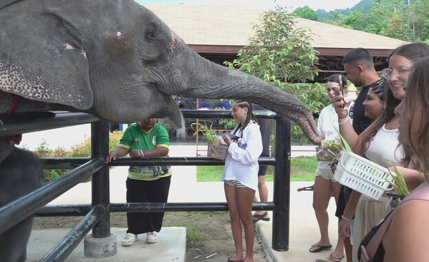 הישראלים שעברו להתגורר בתאילנד הישראלים שעברו להתגורר בתאילנד