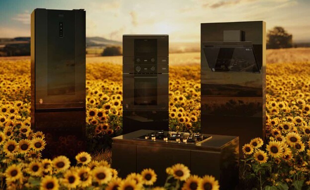 חדשות העיצוב נואר 26 סדרת החמניות החדשה של ואן גוך