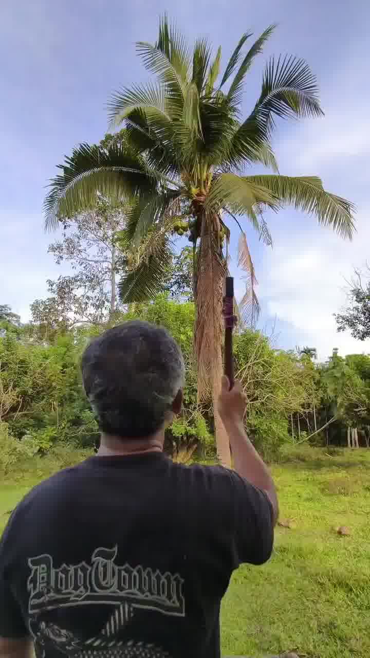 לא הייתי מתעסק עם הבחור הזה