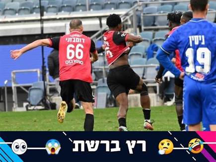 sportFive1664185 (צילום: ספורט 5)