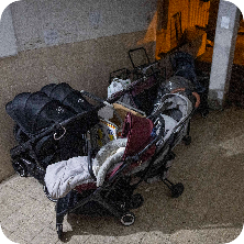 אחד ביום - 25.01.2025 (צילום: חיים גולדברג, פלאש 90)