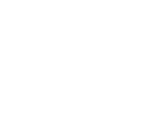 לוגו עשרים ומשהו עם הילי טולדנו 