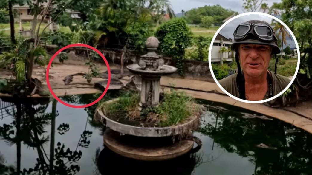 שון קינג שון קינג