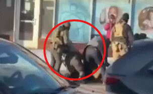 הירי של סוכן ICE (צילום: רשתות חברתיות)