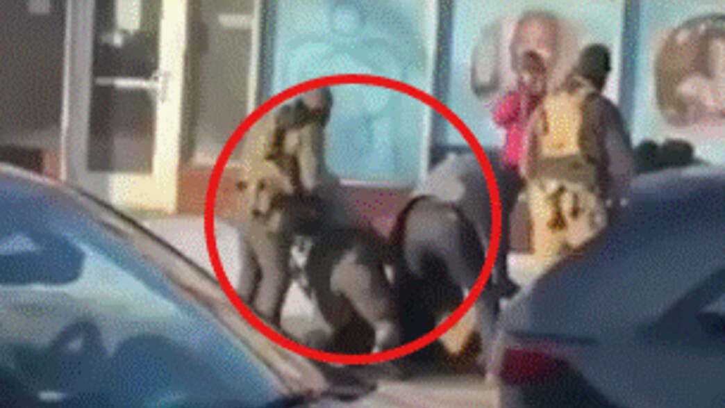 הירי של סוכן ICE