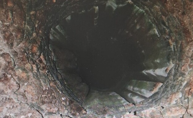 הבור שבו אותר המנוח