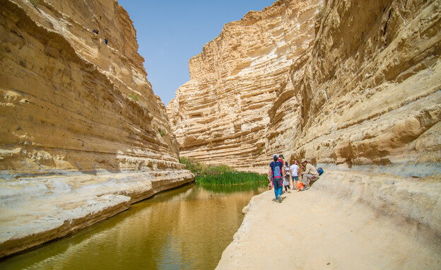 גן לאומי עין עבדת (צילום: מנו גרינשפן)
