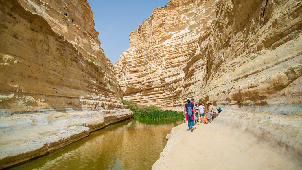 גן לאומי עין עבדת