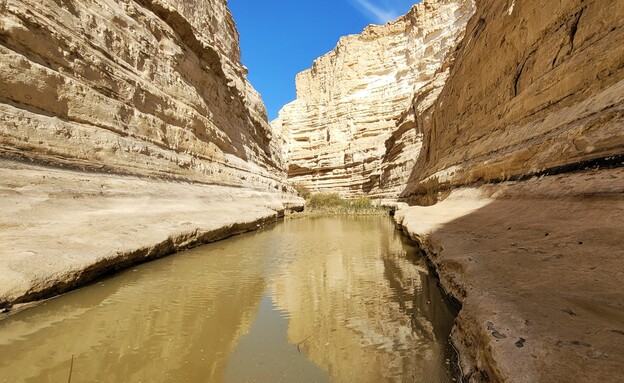 הגן הלאומי עין עבדת