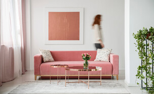 סלון עם ספה ורודה (צילום: shutterstock_Ground_Picture)