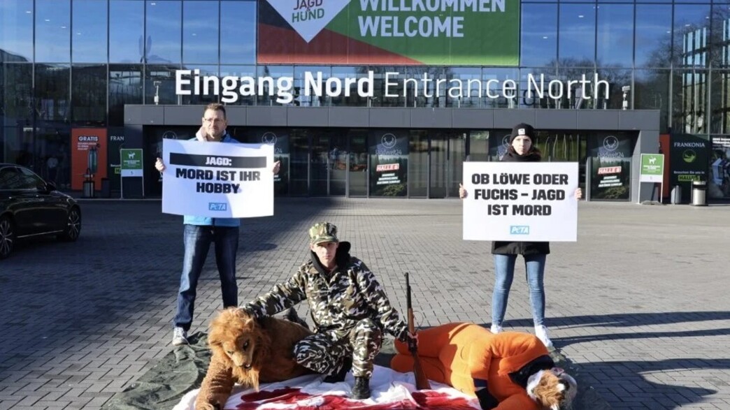 יריד הציד באירופה