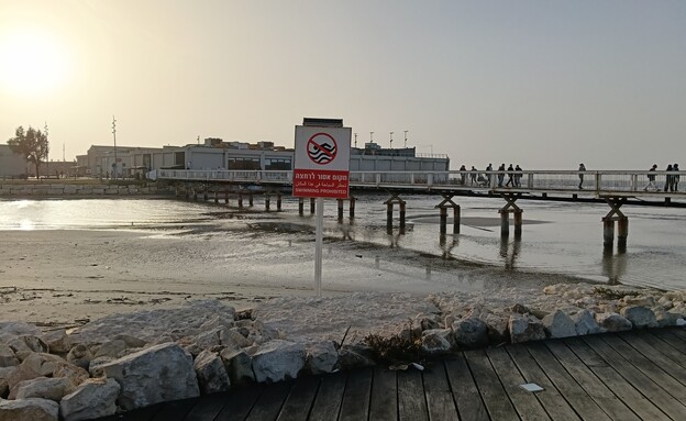 תמונות שצולמו באופו 6 פרו תמונות שצולמו באופו 6 פרו