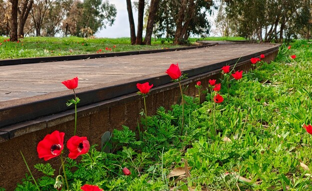 חניון ורמולן
