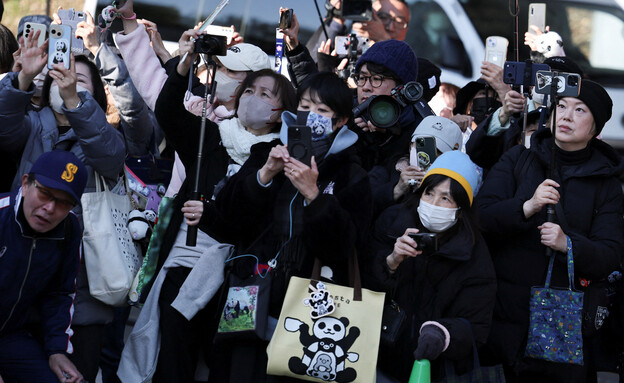 מבקרים בגן החיות בטוקיו