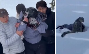 קוקוטוקאי (צילום: מתוך הרשתות החברתיות בהתאם לסעיף 27א' בחוק)