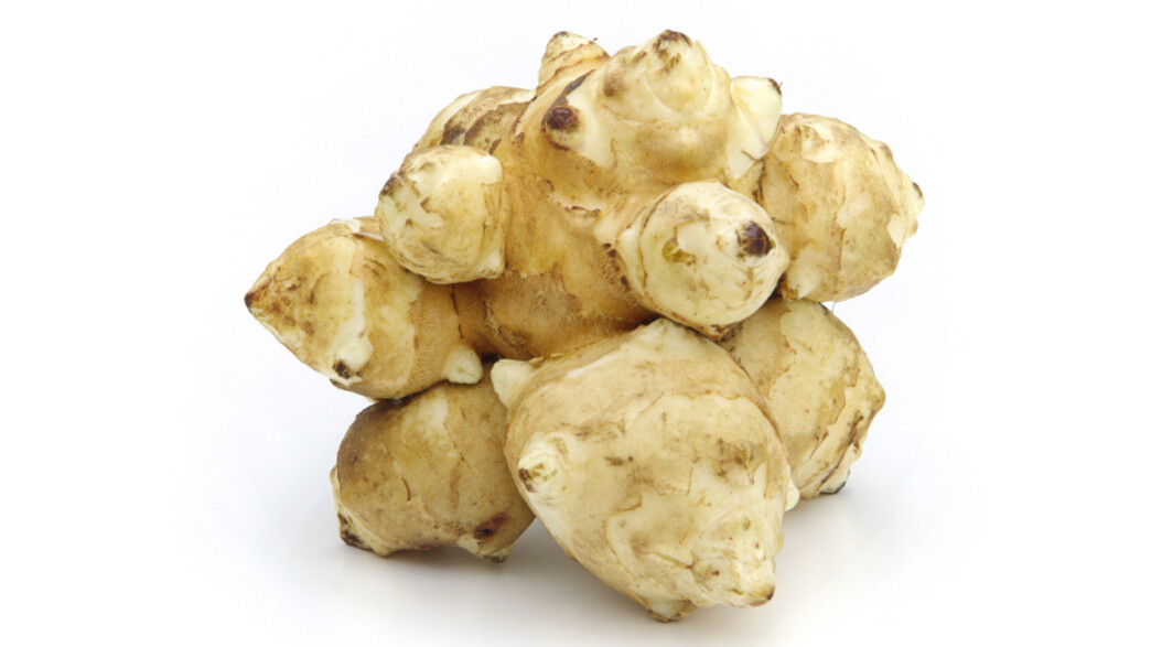 ארטישוק ירושלמי