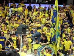 (אלן שיבר) (צילום: ספורט 5)