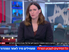 20insolin_vtr2_n20260128_v1 (צילום: חדשות)